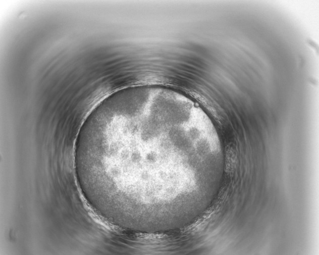 X0000093771039200710301201