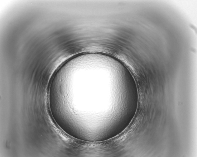 X0000093771040200710301201