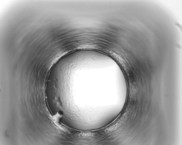 X0000093771041200710301201