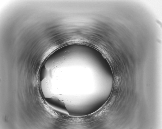 X0000093771042200710301201