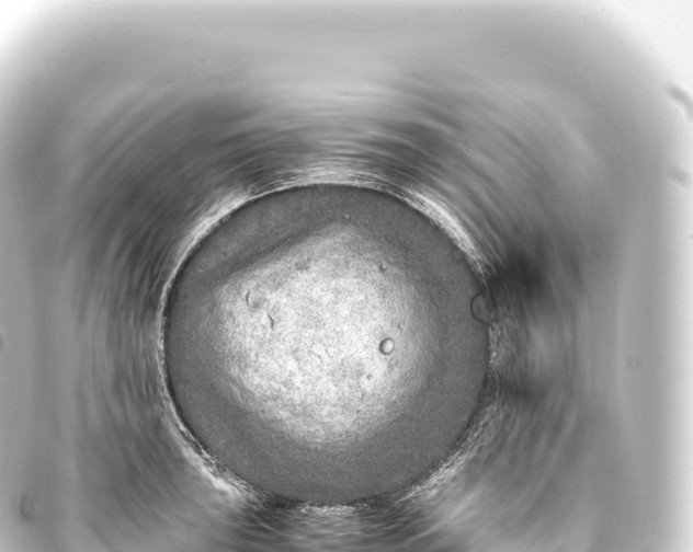 X0000093771043200710301201