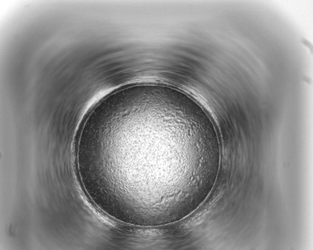 X0000093771045200710301201