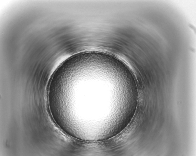 X0000093771048200710301201