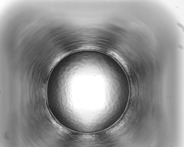 X0000093771049200710301201