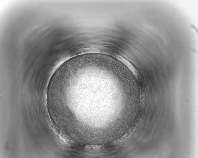 X0000093771051200710301201