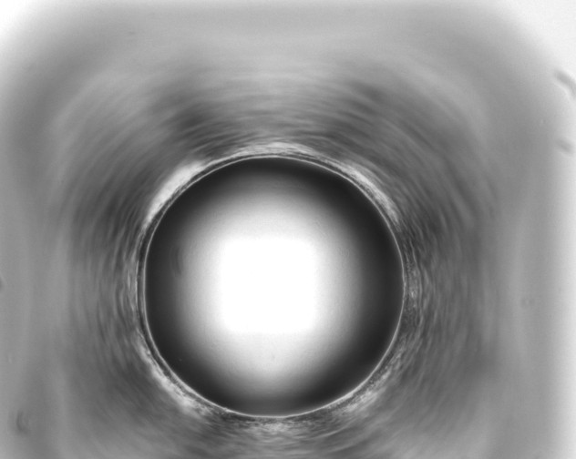 X0000093771054200710301201