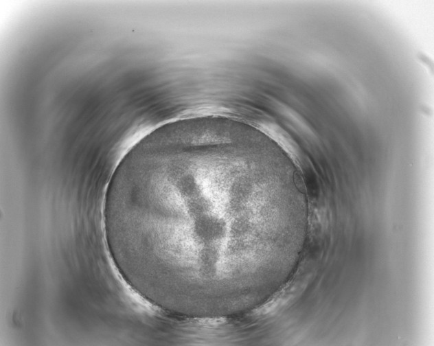 X0000093771055200710301201