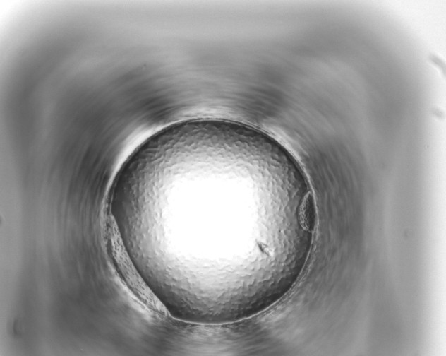 X0000093771056200710301201