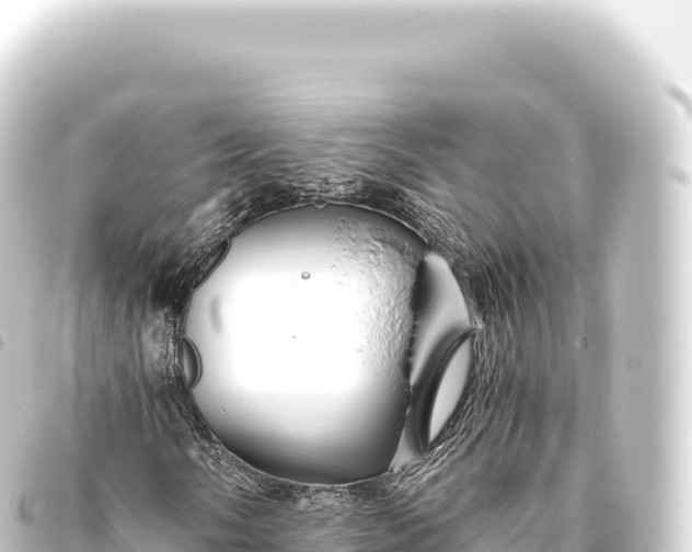 X0000093771058200710301201