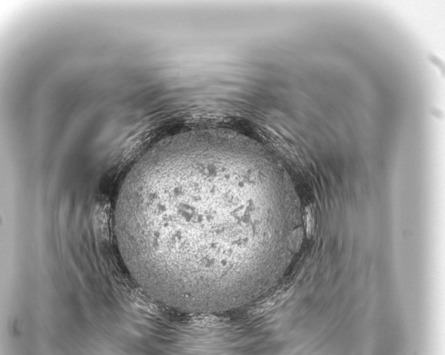 X0000093771059200710301201