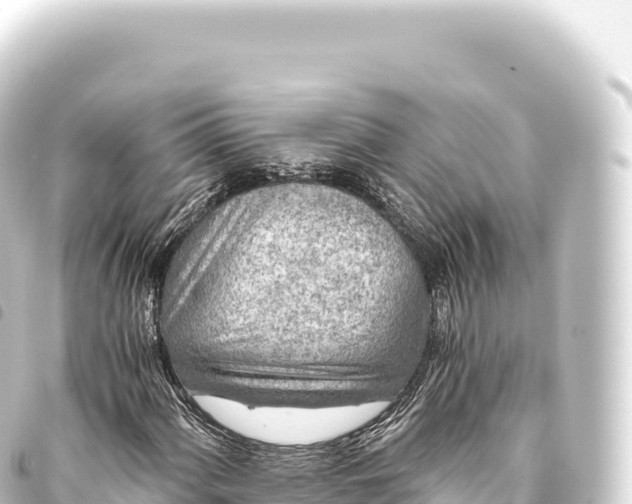 X0000093771060200710301201