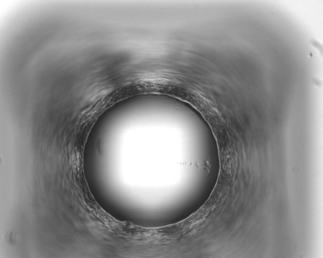 X0000093771061200710301201