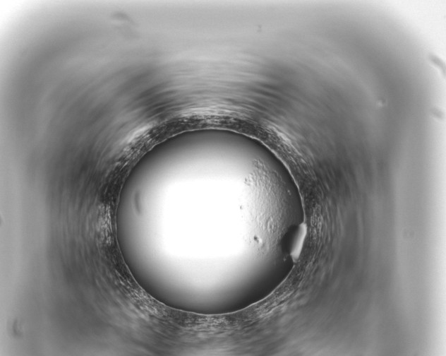 X0000093771062200710301201