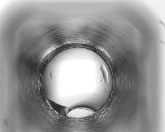 X0000093771064200710301201