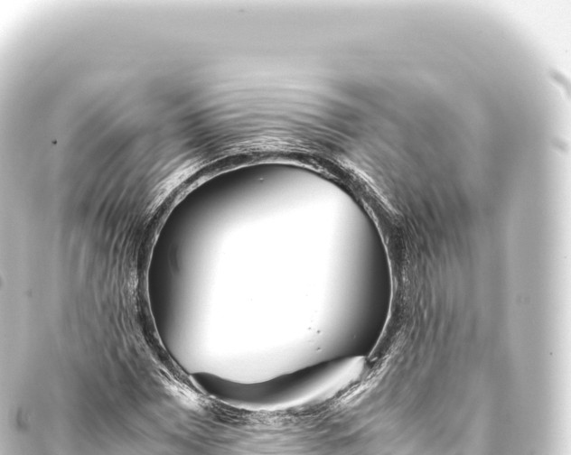 X0000093771065200710301201