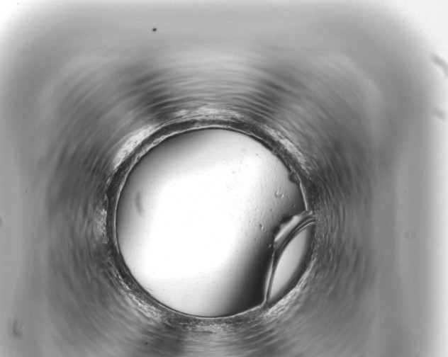 X0000093771066200710301201