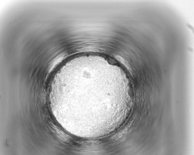 X0000093771067200710301201