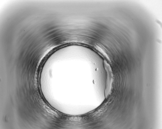 X0000093771068200710301201