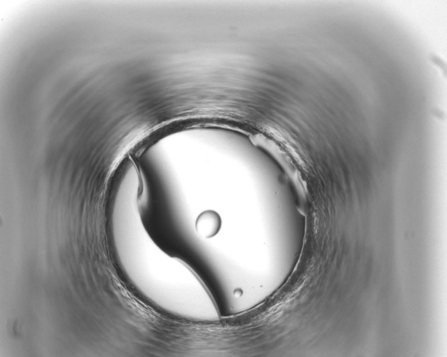 X0000093771069200710301201