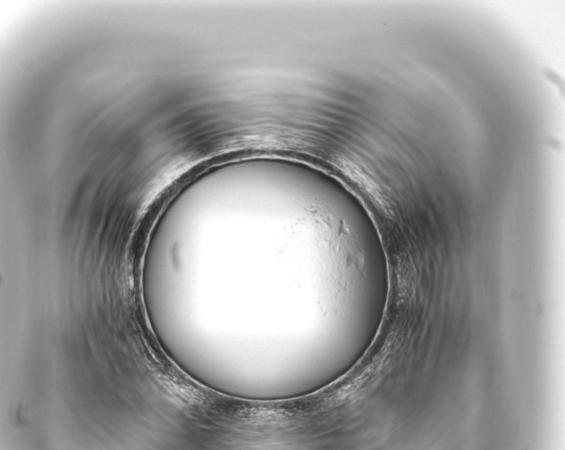 X0000093771070200710301201