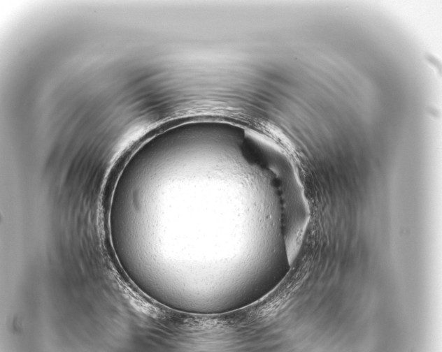 X0000093771072200710301201