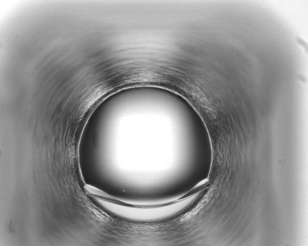 X0000093771073200710301201