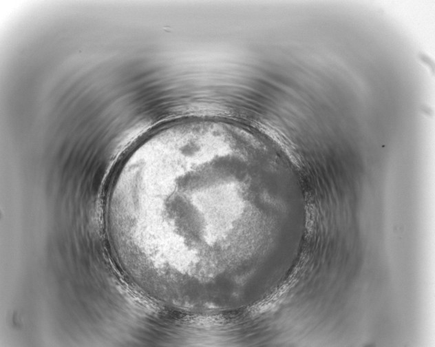 X0000093771074200710301201