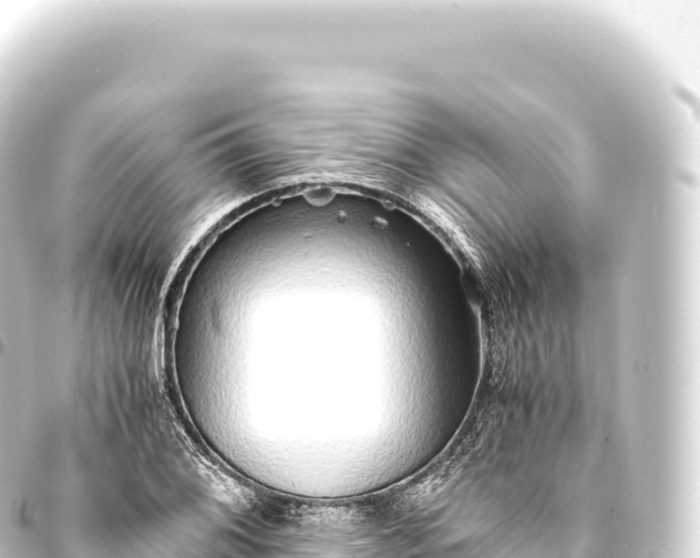 X0000093771076200710301201