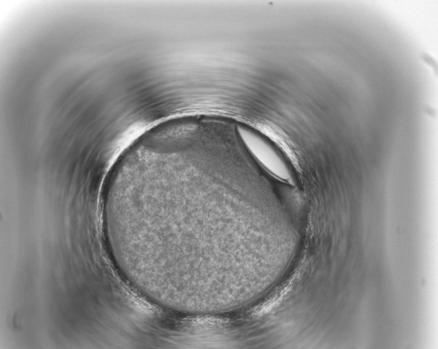 X0000093771077200710301201