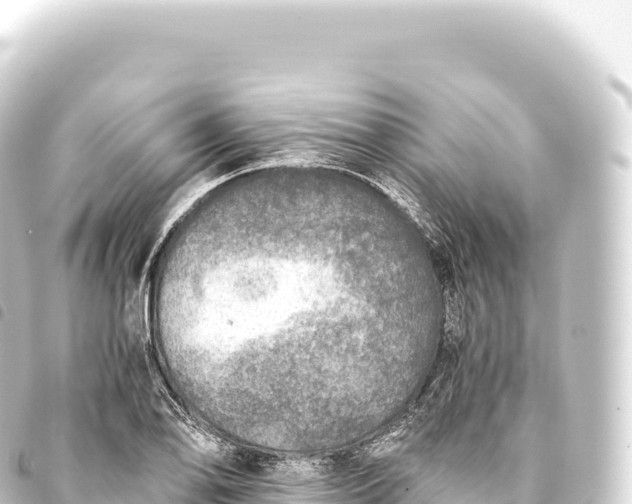 X0000093771078200710301201