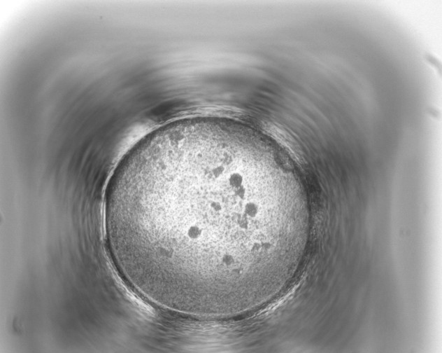 X0000093771079200710301201