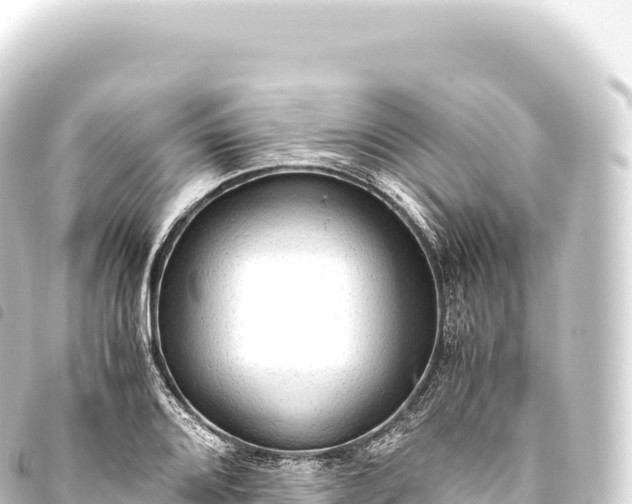 X0000093771080200710301201