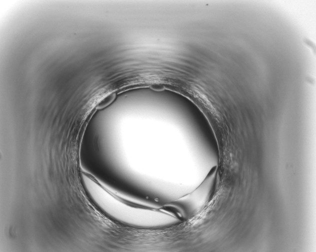 X0000093771081200710301201