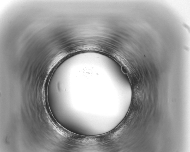 X0000093771082200710301201