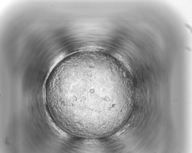 X0000093771083200710301201