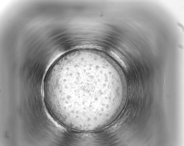 X0000093771084200710301201