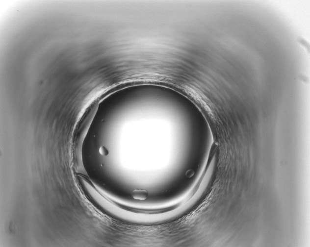 X0000093771085200710301201