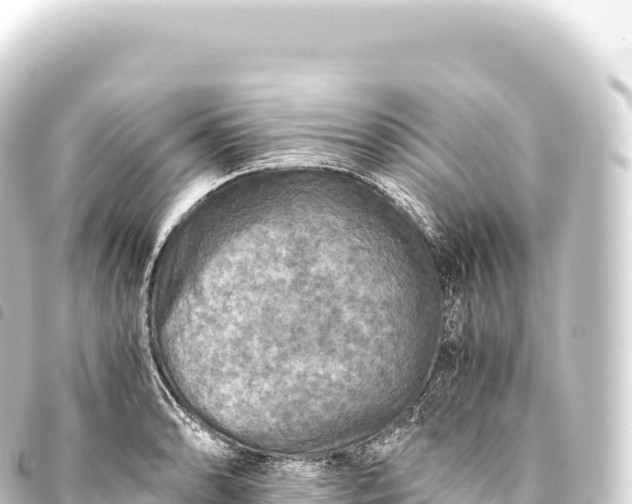 X0000093771086200710301201