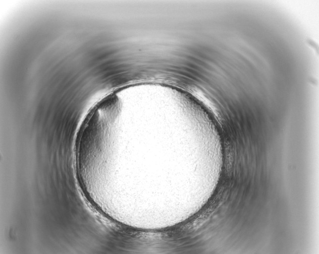 X0000093771088200710301200