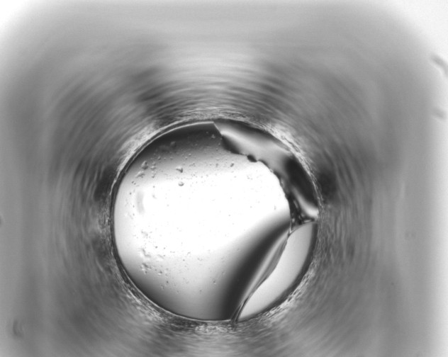 X0000093771089200710301200