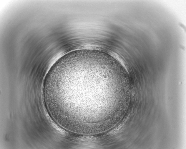 X0000093771091200710301200