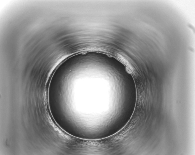 X0000093771092200710301200