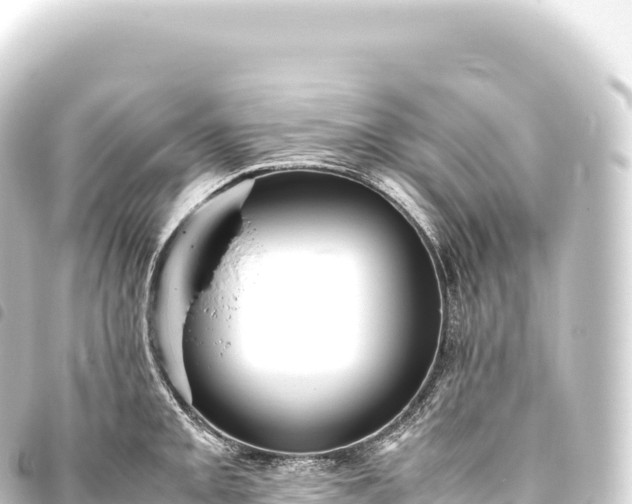 X0000093771093200710301200