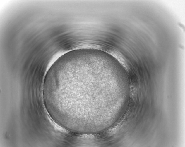 X0000093771094200710301200