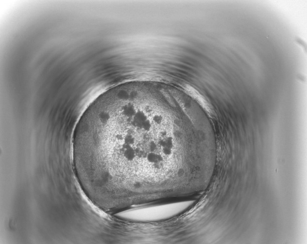 X0000093771095200710301200