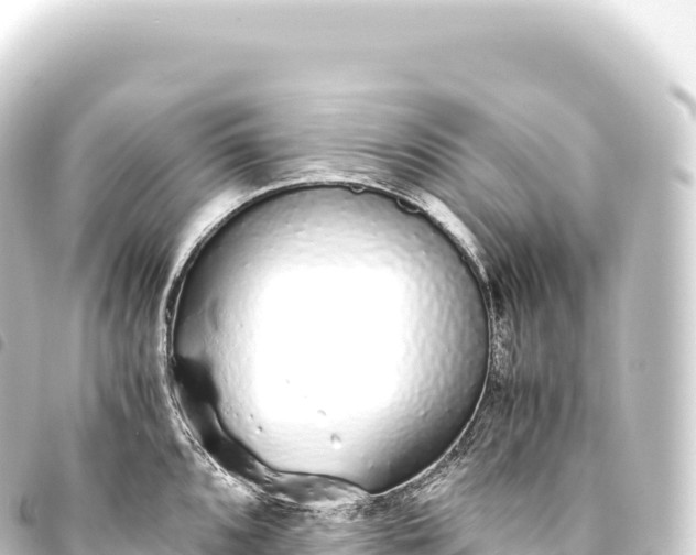 X0000093771096200710301200