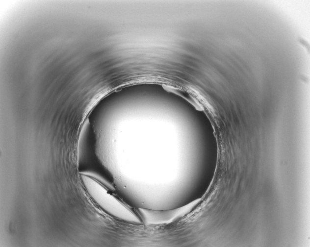 X0000093771097200710301200