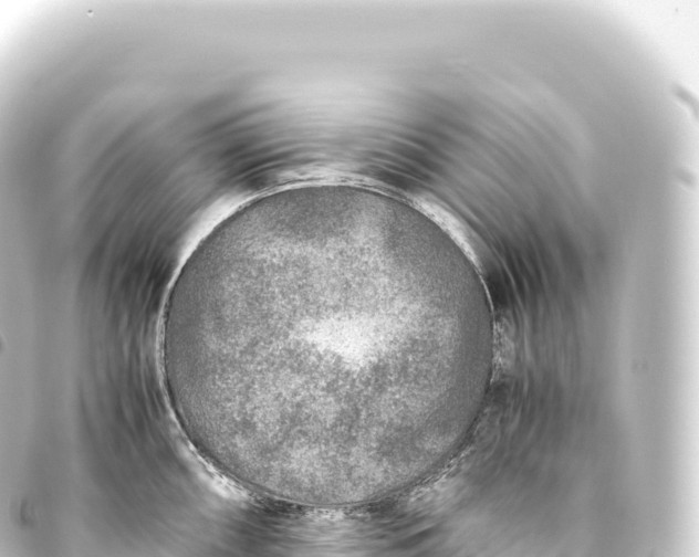 X0000093771098200710301200