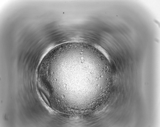 X0000093771099200710301200