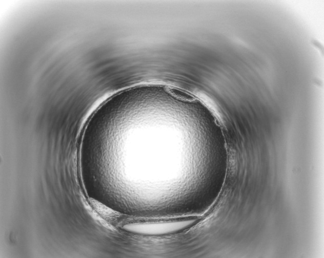 X0000093771100200710301200